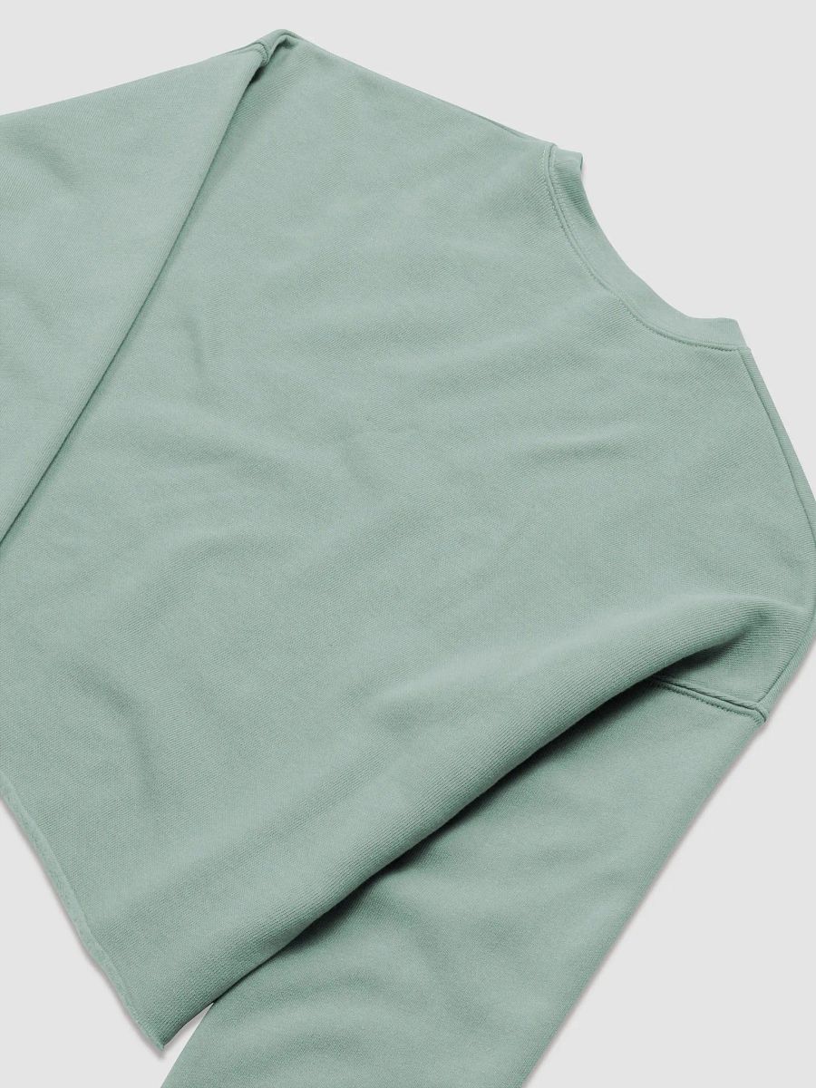 TD Annoyed Gorl Crop top product image (30)