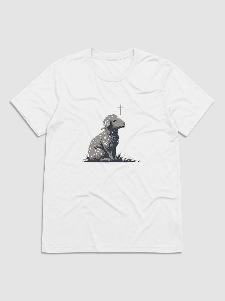 GENTLE SHEPHERD CHRISTIAN TRIBLEND T-SHIRT | ISAIAH 40:11 product image (13)