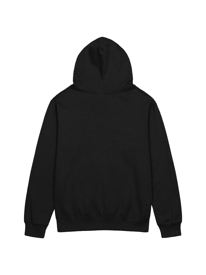 INFAMOUS Mashup - Midweight Hoodie product image (4)