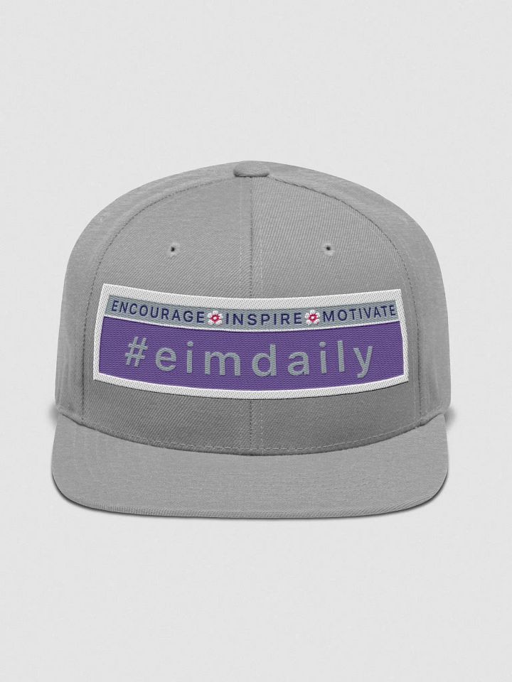 Purple/Gray Logo Cap product image (1)