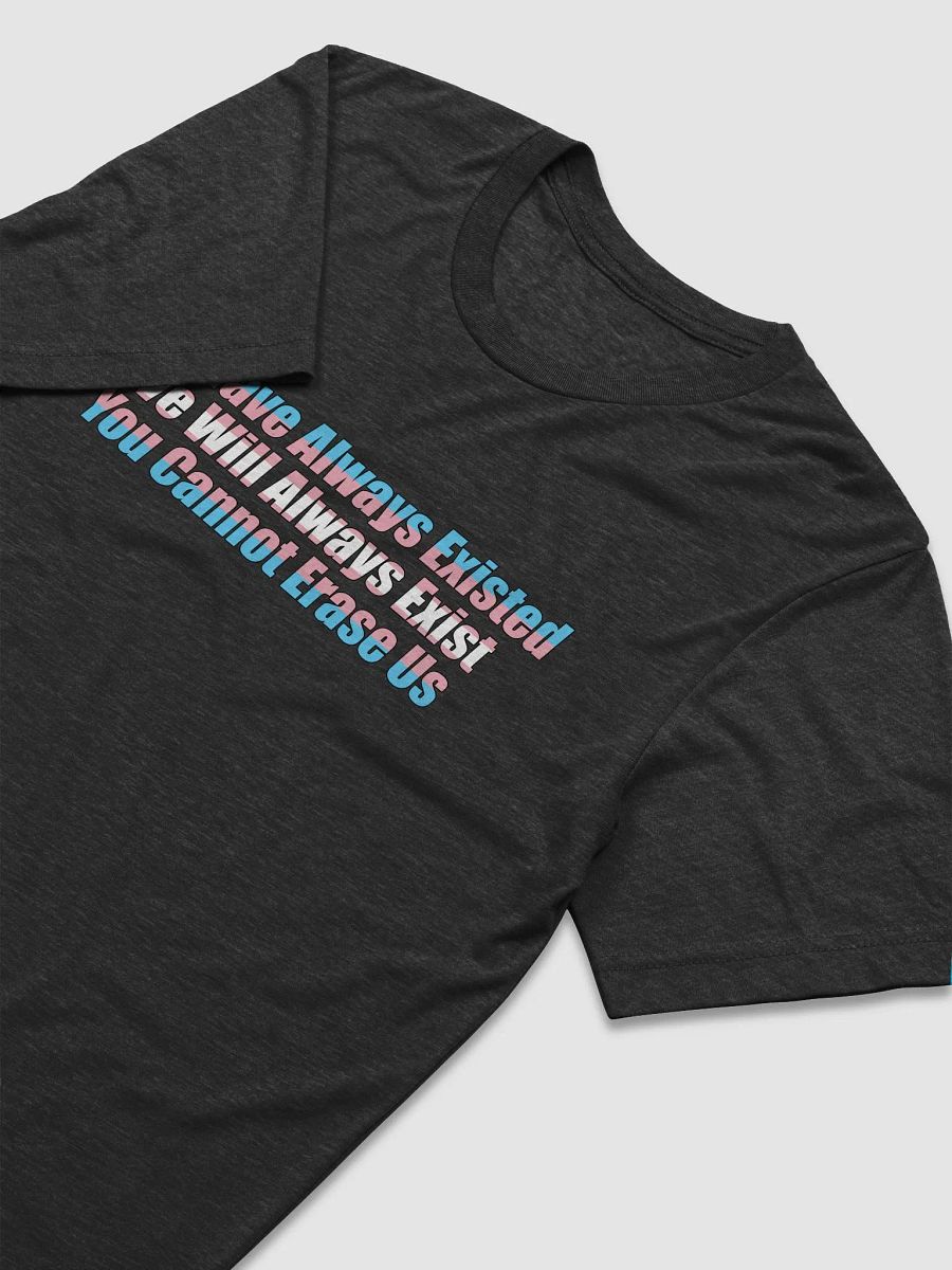 You Cannot Erase Us Tee product image (6)