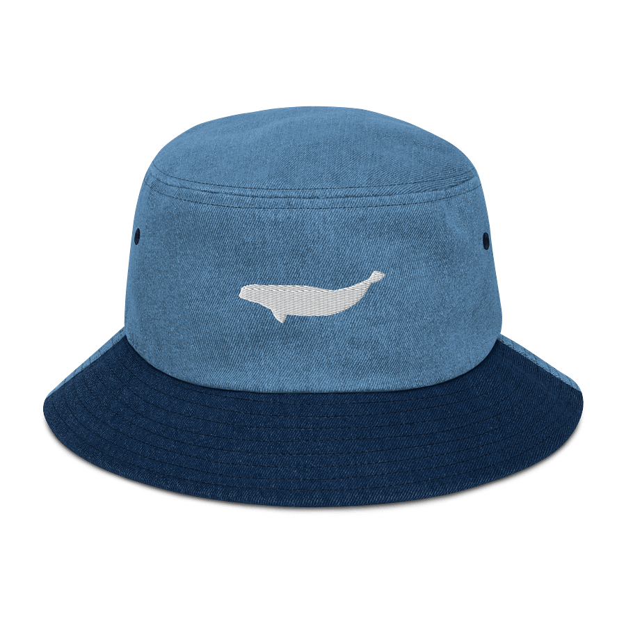jean beluga whale hat color:white product image (1)
