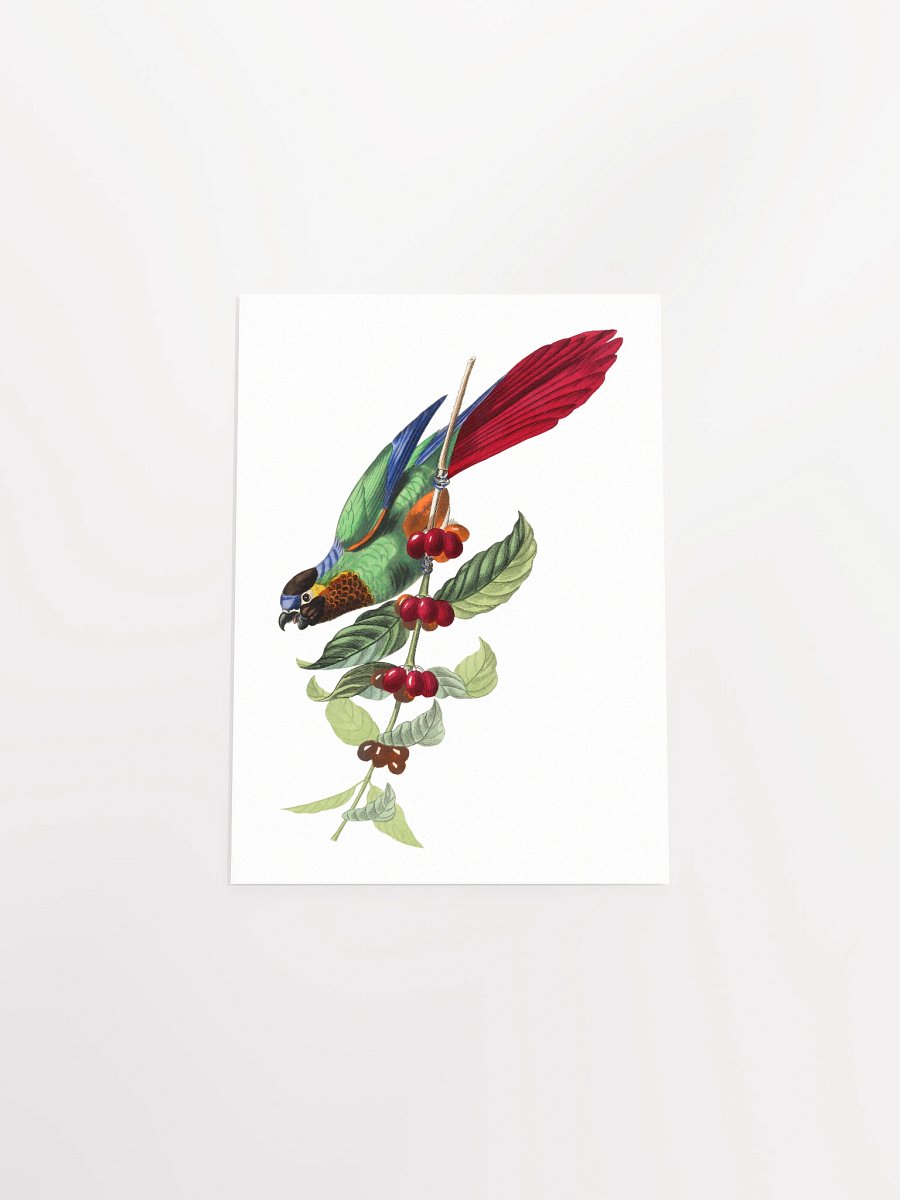 Vibrant Avian Delight Poster product image (34)