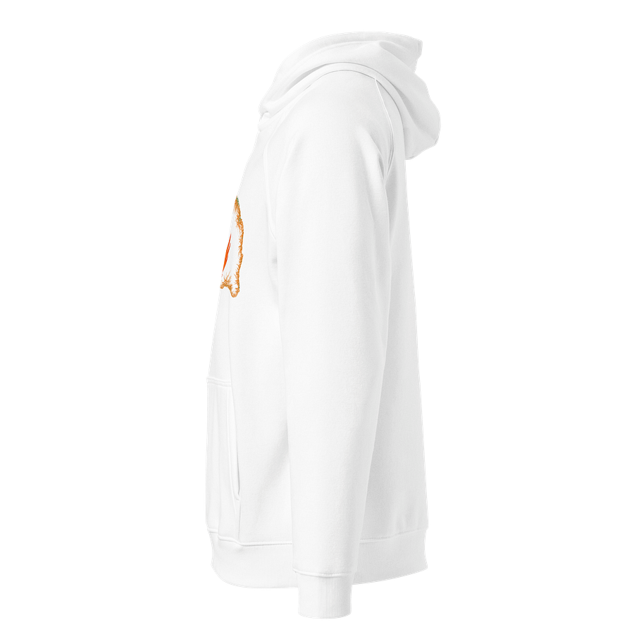 Dragon's Fury Eco Raglan Hoodie product image (2)