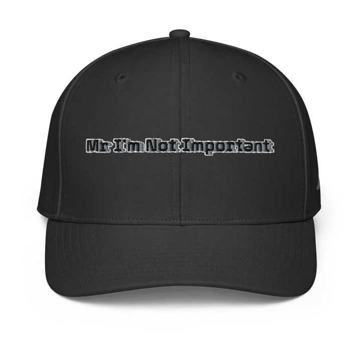 Performance Cap - Embroidered - Mr I'm Not Important product image (1)