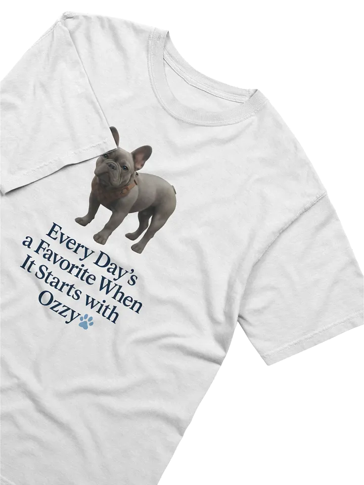 Ozzy's Favorite Day T-Shirt product image (2)