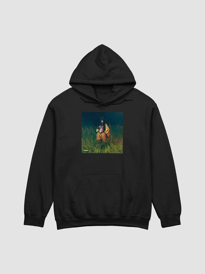 Lana Album SZA Hoodie product image (1)