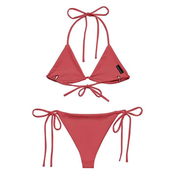 The Official AIKO TESTED President Sunday Bikini product image (2)