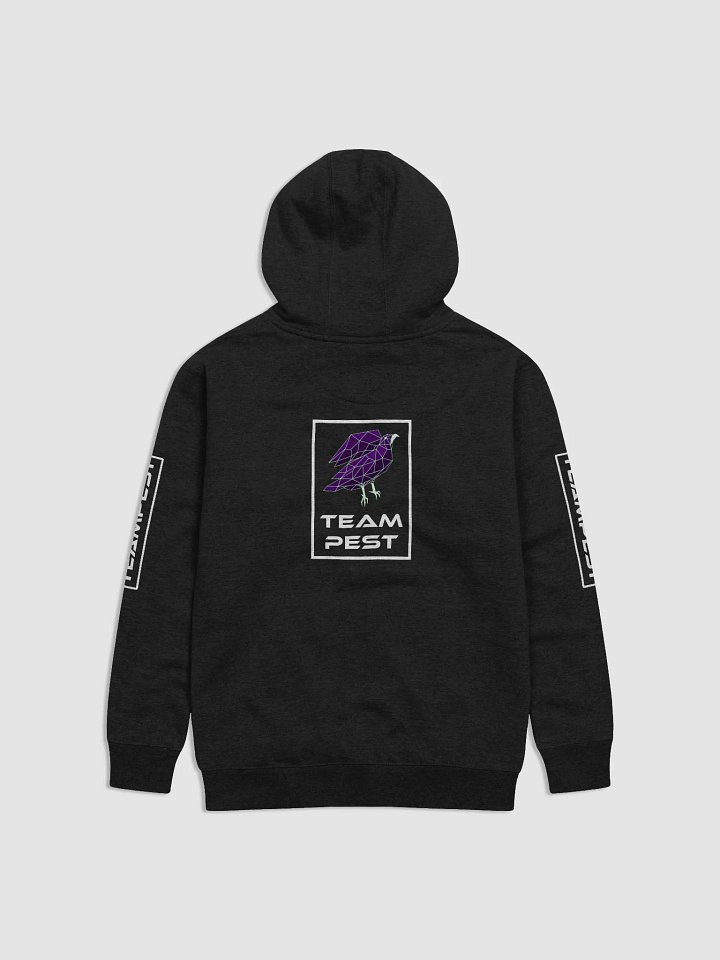 TeamPEST Unisex Hoodie [VOLUME II] product image (2)