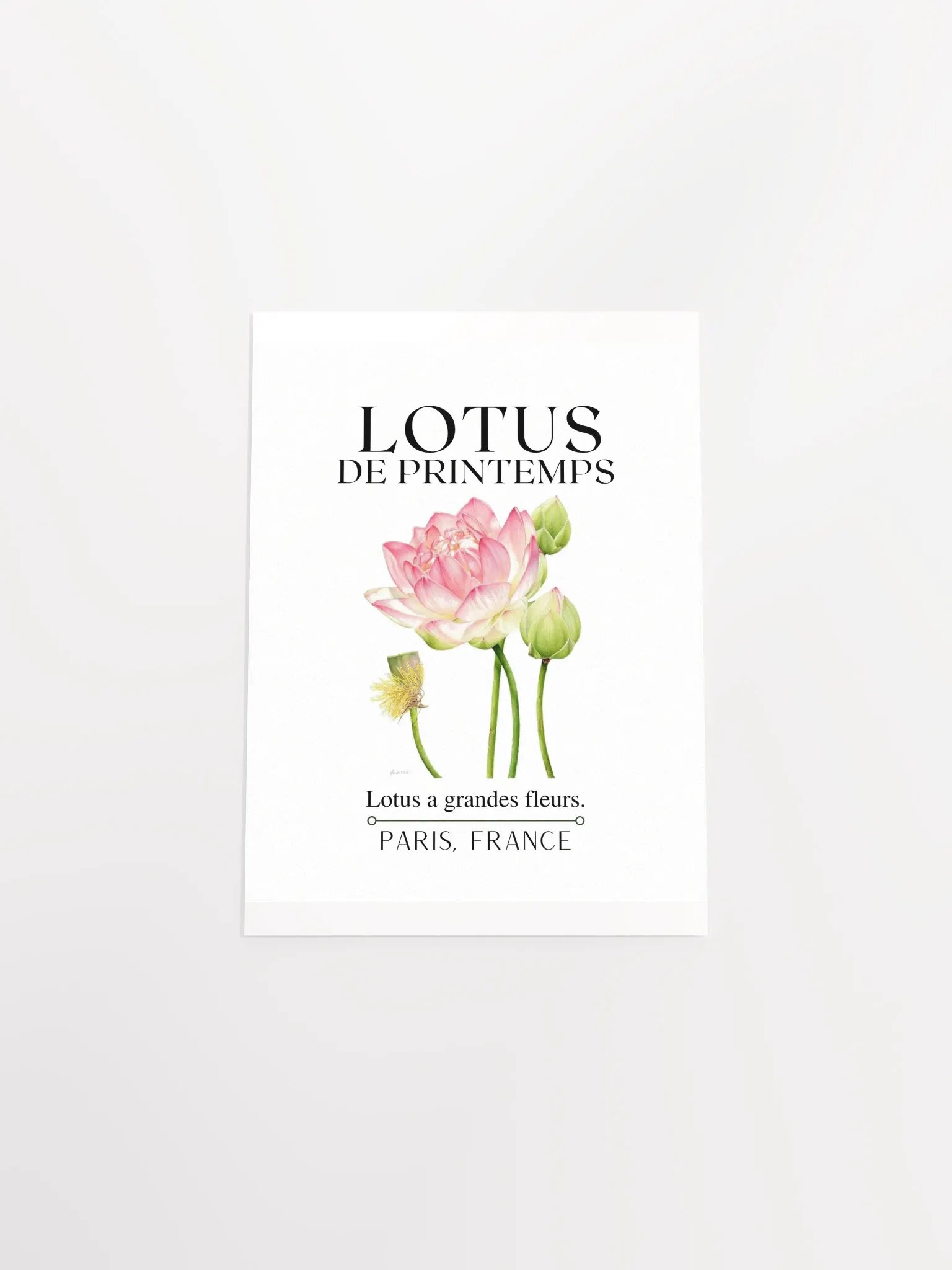 FLORAL PRINT- LOTUS product image (26)