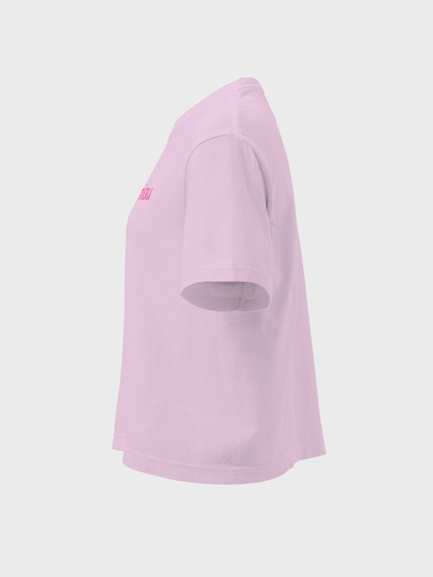 "Esquiusmiau" Boxy Tee (Light) product image (9)