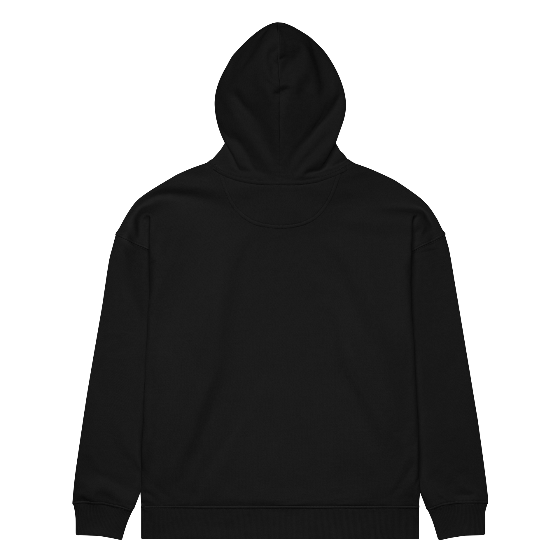 SPIRITUAL ADVISORY: EUPHORIC CONTENT EMBROIDERED HOODIE product image (5)