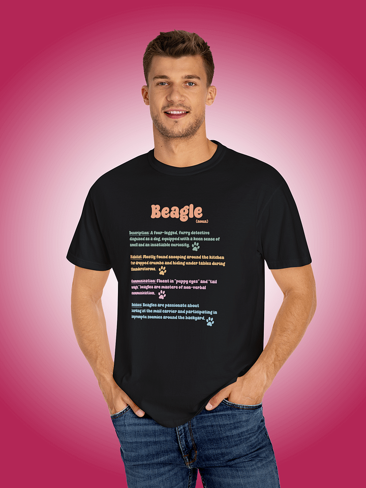 Definition of a Beagle product image (1)
