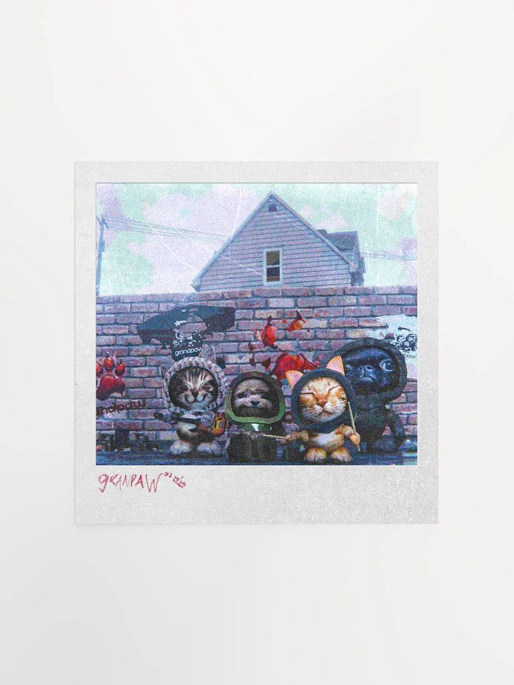 GRANDPAW POLAROID product image (3)