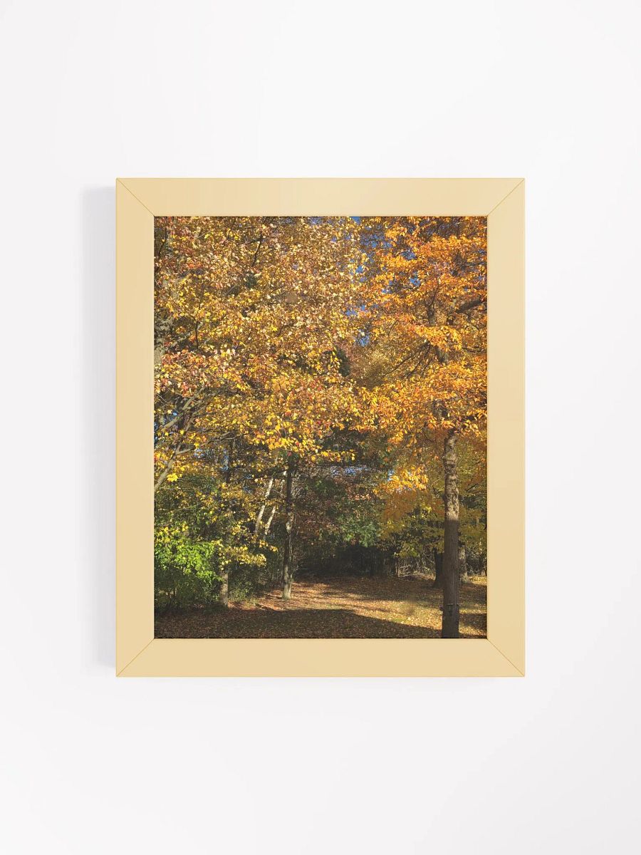 Fall Leaves High Quality Matte Poster product image (4)
