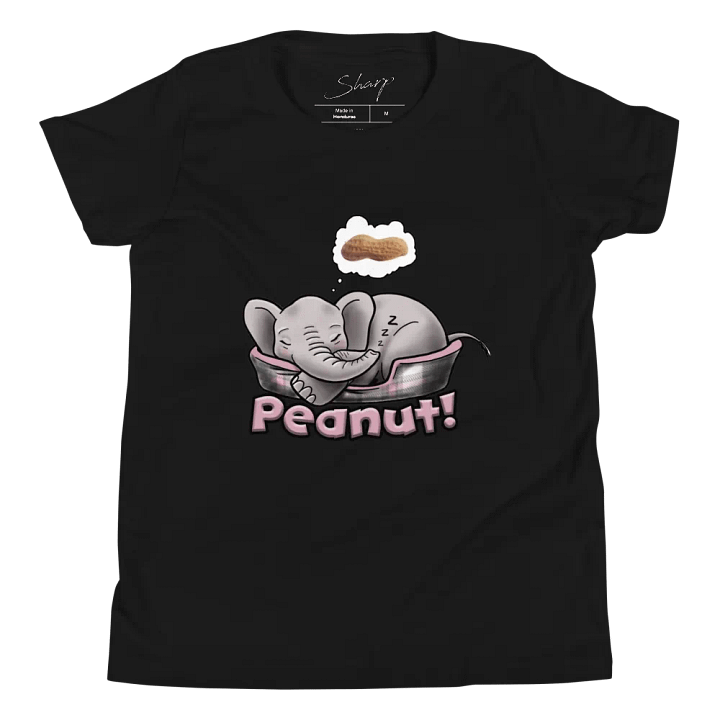 Sleepy Peanut - SFA Youth T-Shirt product image (1)