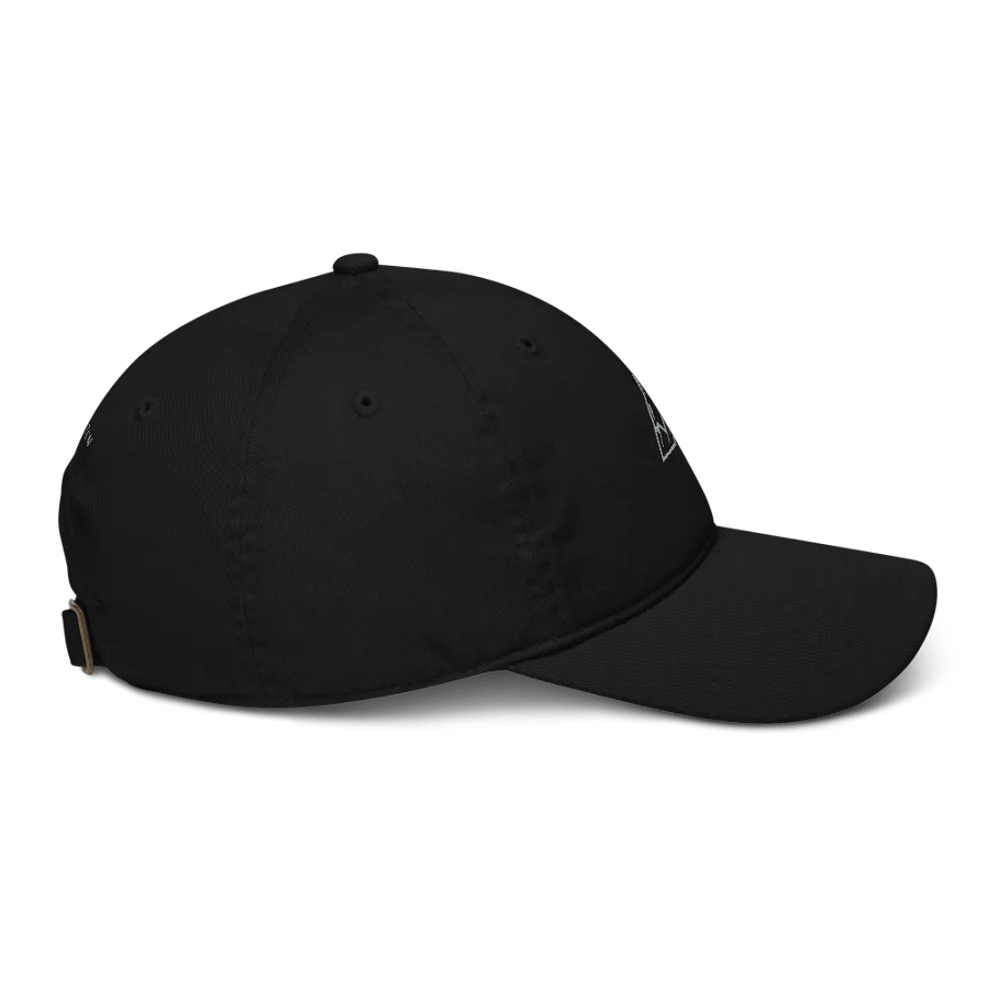MOMENTUM Organic Dad Hat product image (6)
