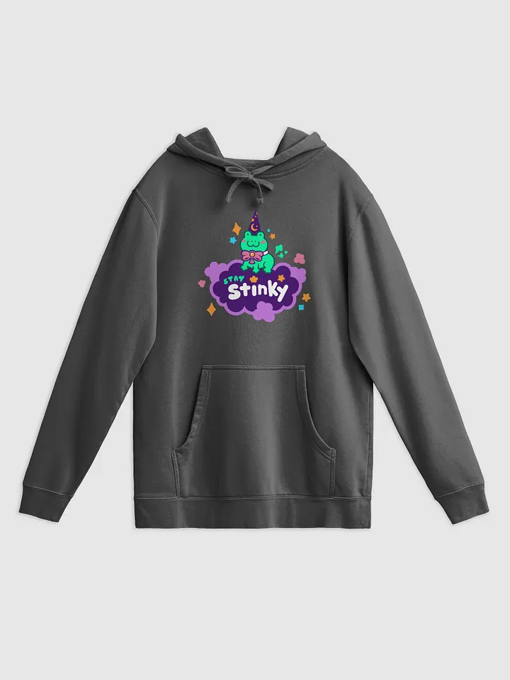 Stay Stinky Wizard Frog Hoodie product image (1)