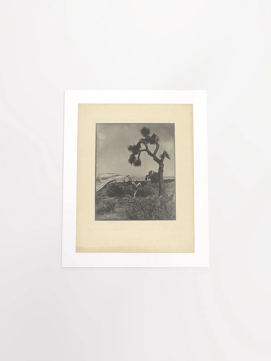 The Desert Wind by Louis Fleckenstein (1930) - Print product image (4)