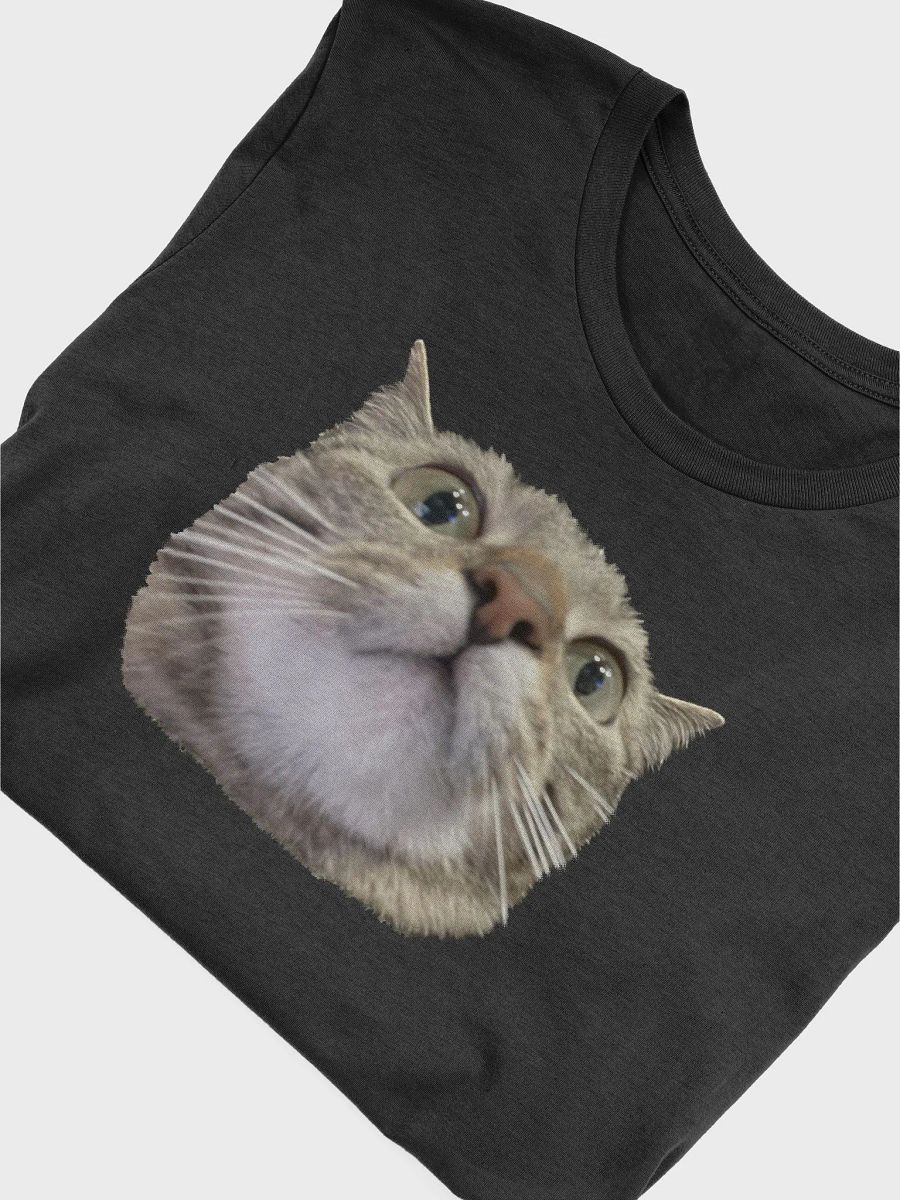 Bea Shirt product image (5)