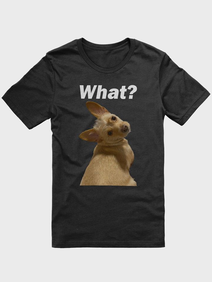 Say What? product image (1)