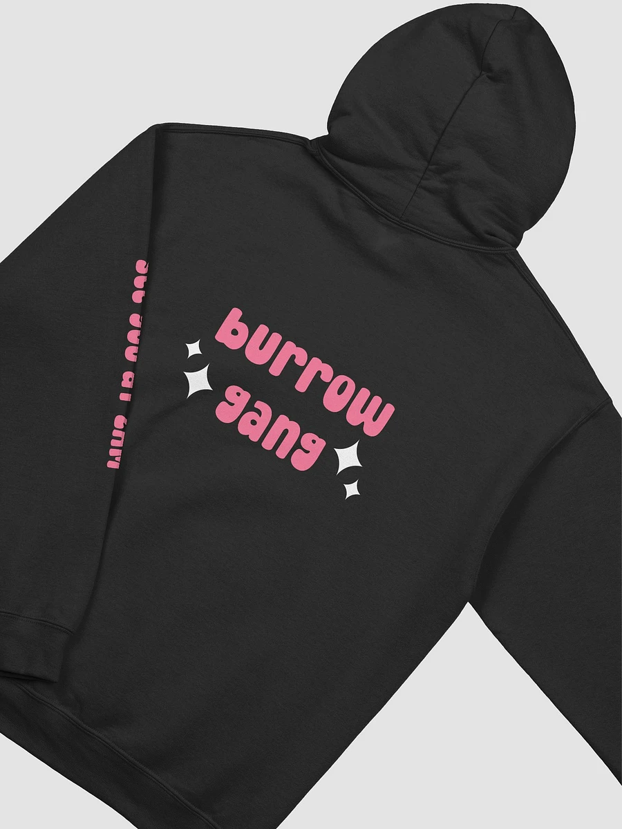 burrow gang ⟡ double-sided printed hoodie [8 colors] product image (4)