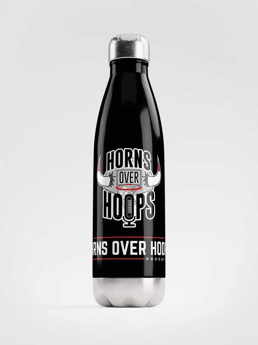 Stainless Steel Bottle product image (1)