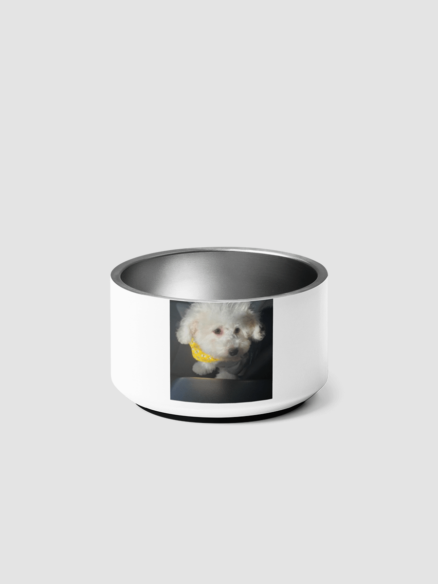 [junito_gaming] Pet Bowl product image (1)