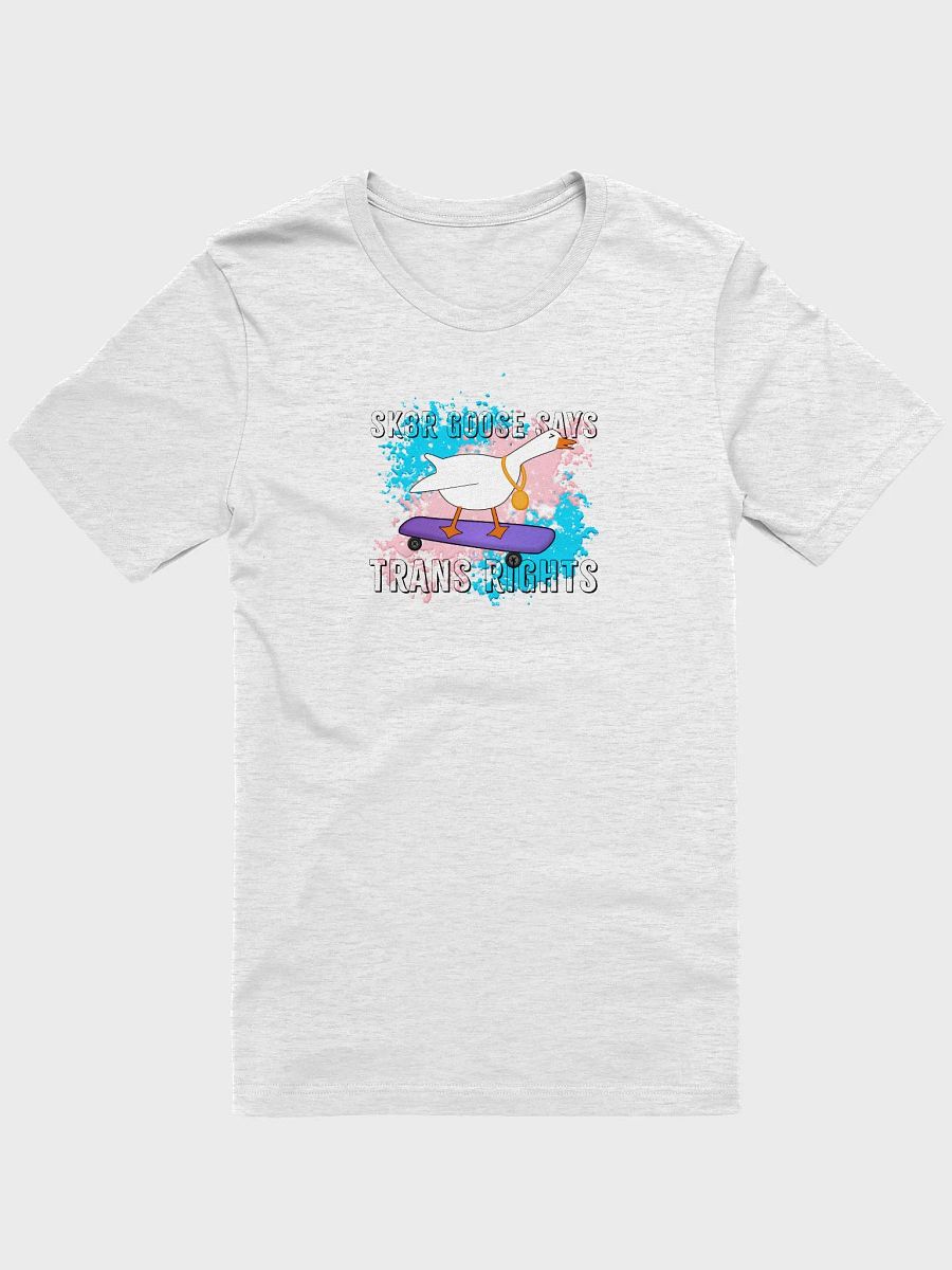 Sk8r Goose Says Trans Rights product image (2)