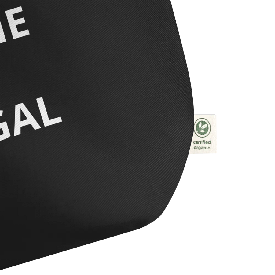 PRIS- NO ONE IS ILLEGAL-Econscious Organic Cotton Tote product image (3)