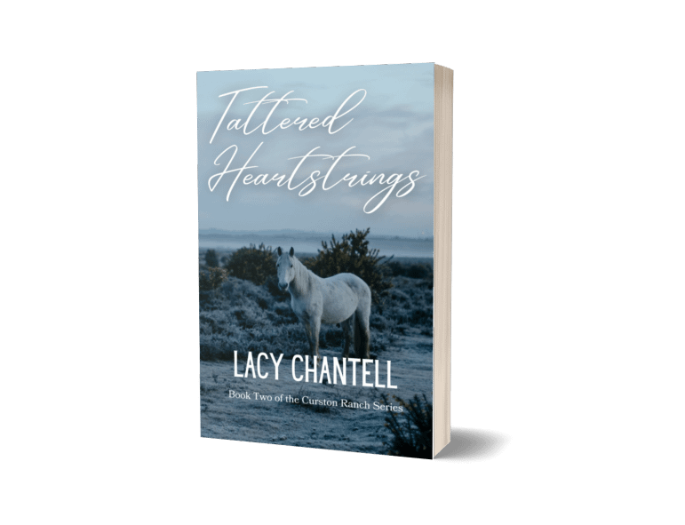 Out of Print : Tattered Heartstrings Paperback product image (1)