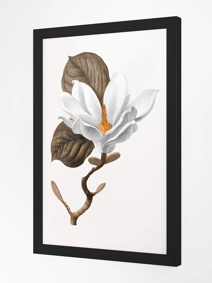 Magnolia Grandiflora #2 Framed Print product image (2)