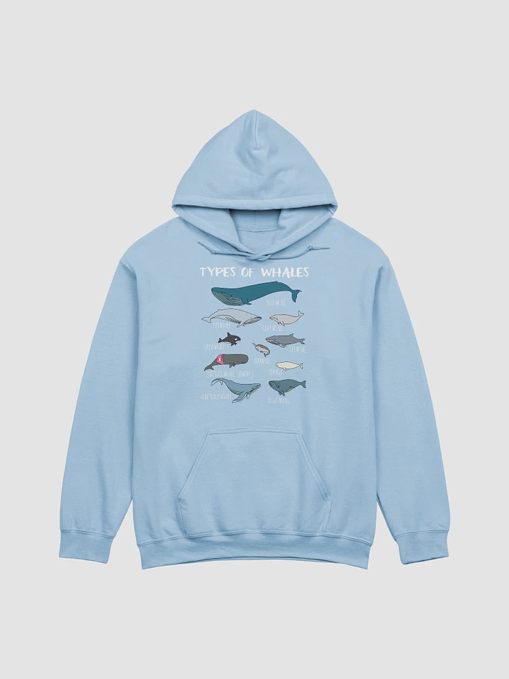 Types of Whales - Light Blue Hoodie product image (1)