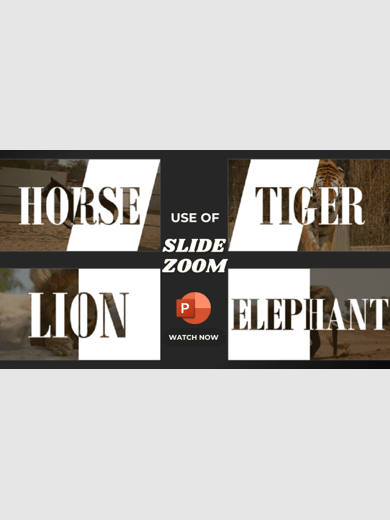 Using Slide Zoom in PowerPoint product image (1)