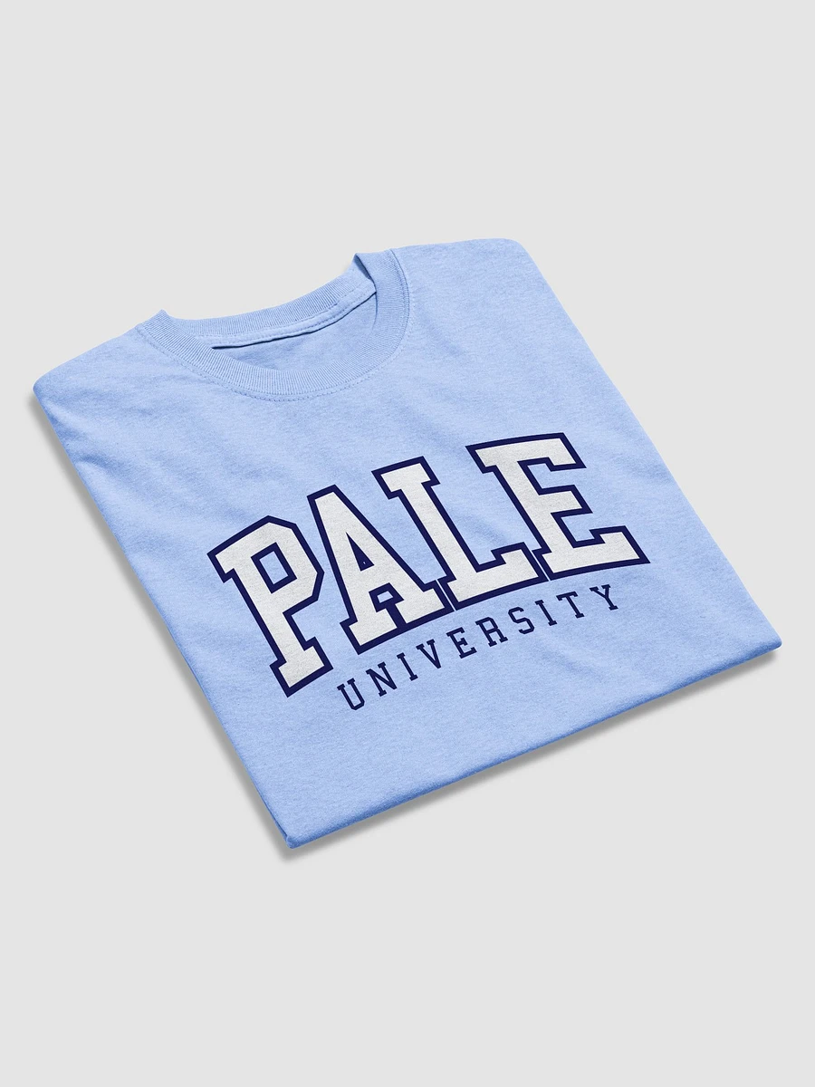 Pale University T-shirt product image (17)