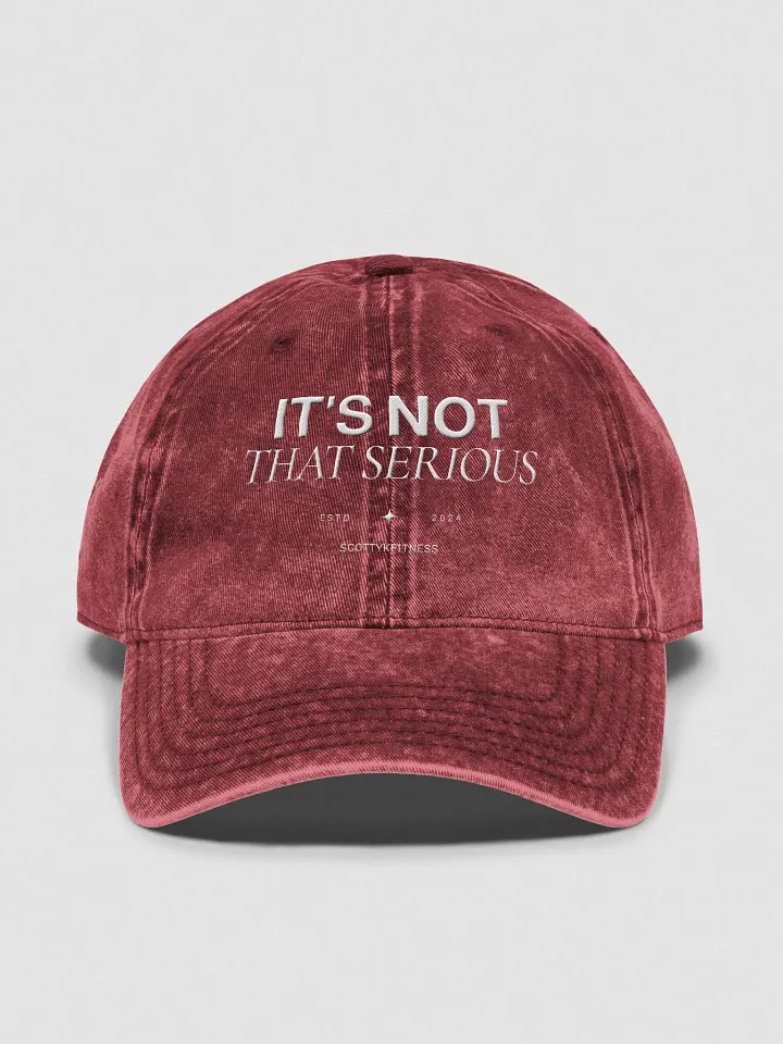 It's Not That Serious Dad Cap product image (2)