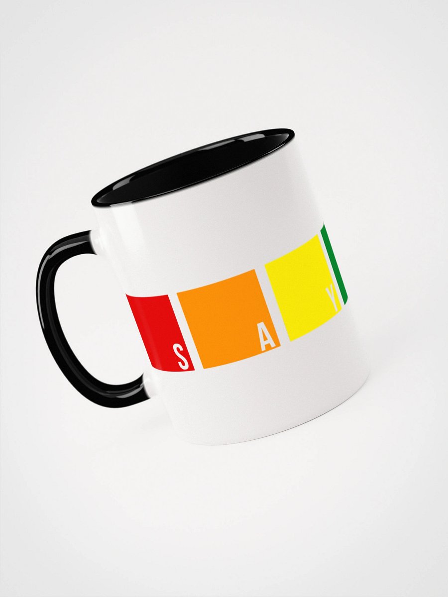 Say Gay Mug - Being Liberal product image (6)