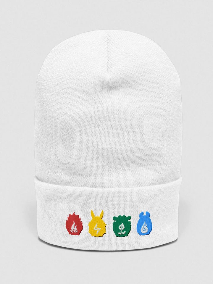 Starter Line-Up Beanie product image (1)