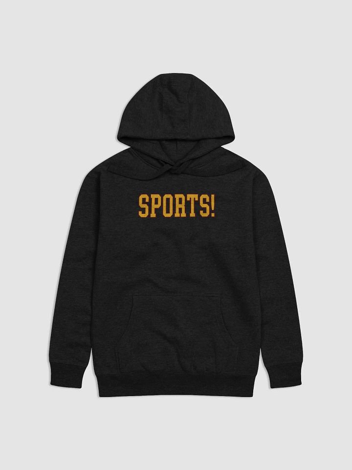 SPORTS! Hoodie (Black Alt) (BB x CH) product image (1)