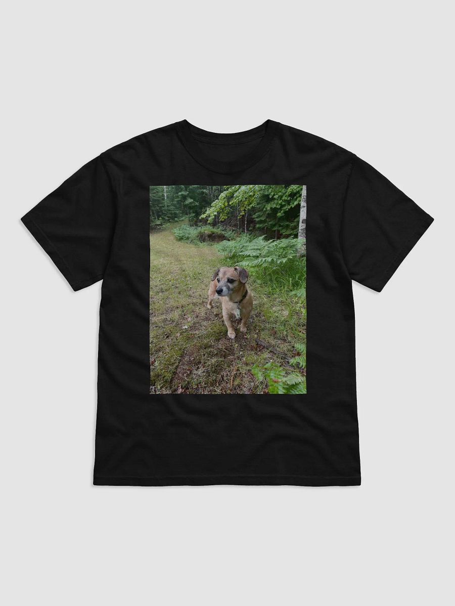 Rocky Tee product image (1)