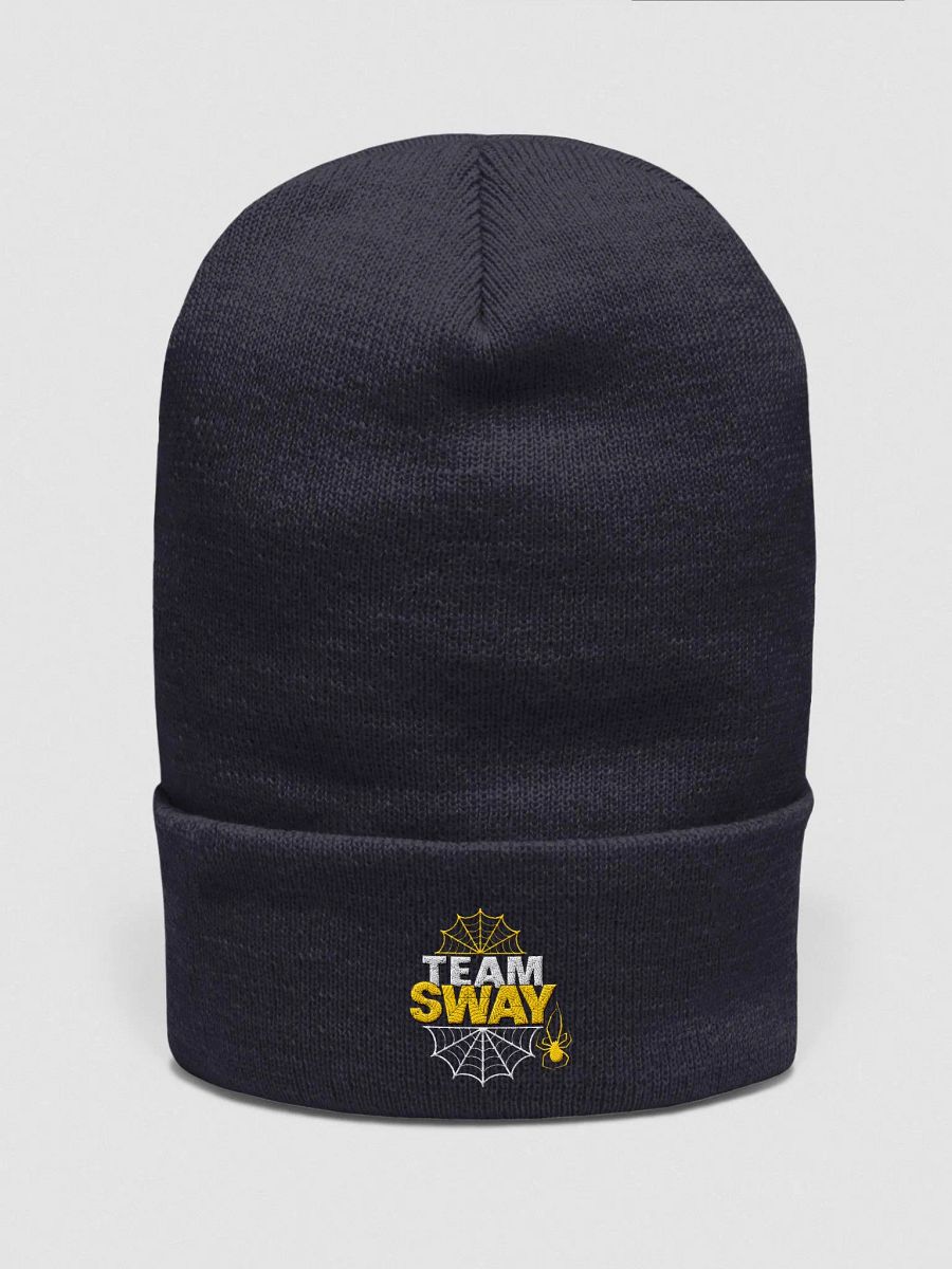 TEAM SWAY Embroidered Beanie product image (1)