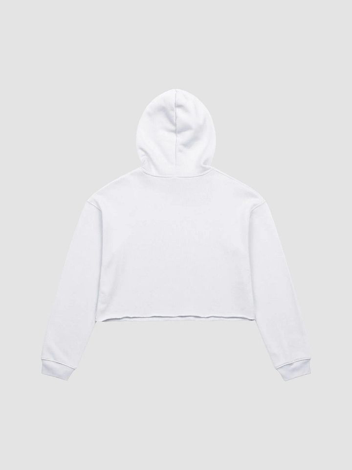 Pedantic Fleece Crop Hoodie product image (34)
