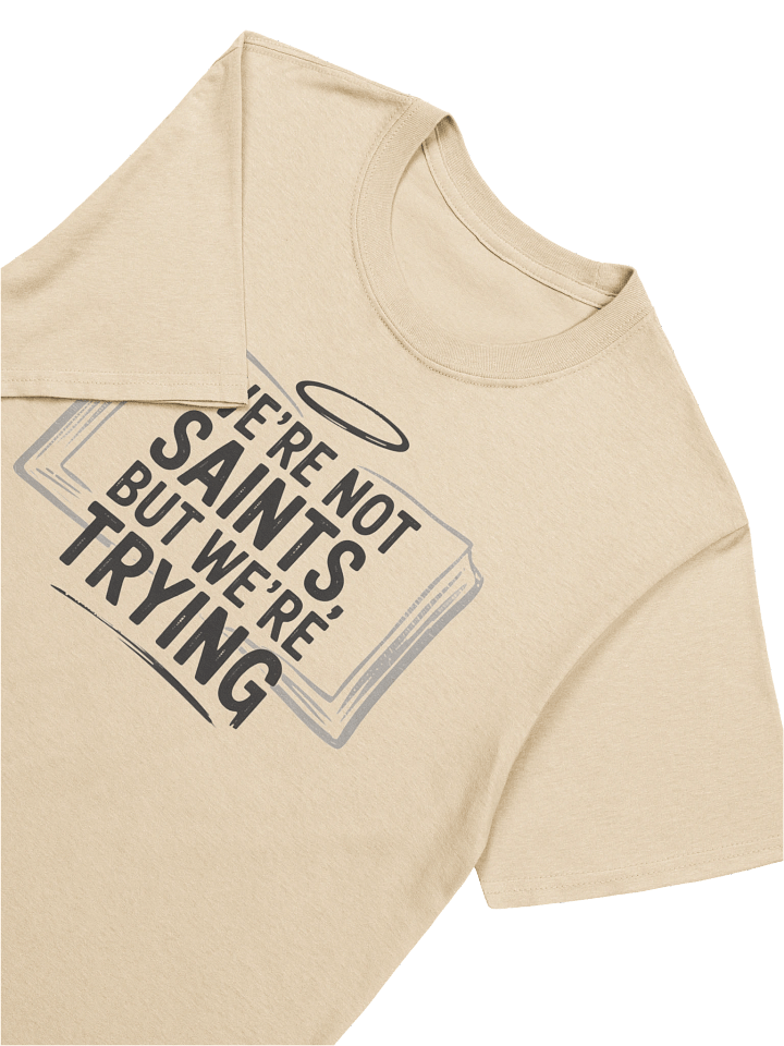 We're Not Saints... product image (2)