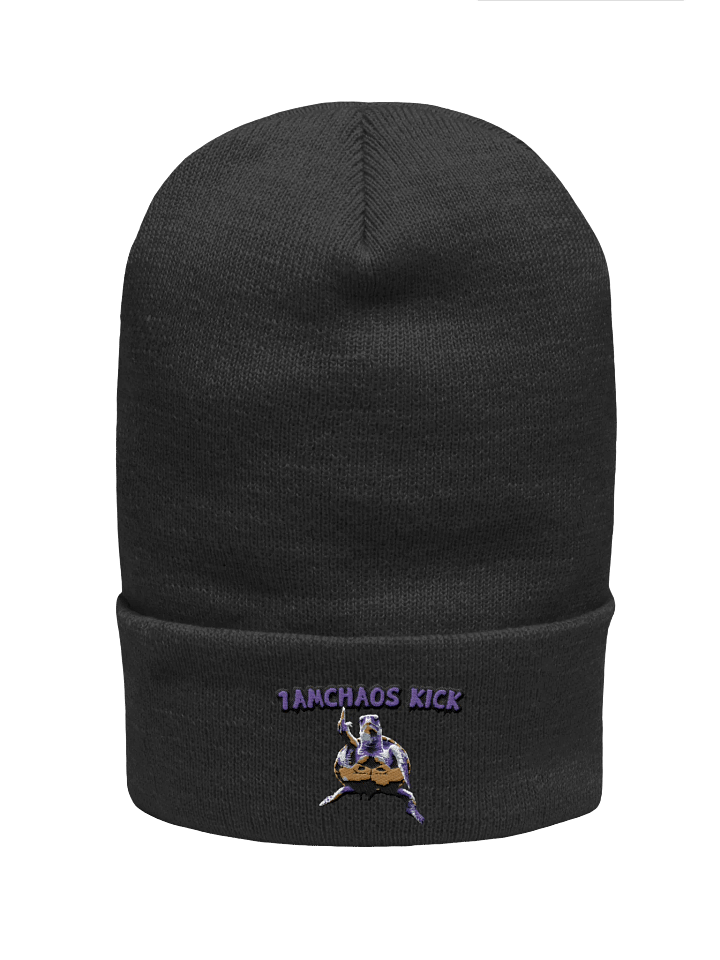 Chaos Kick Turtle Power Beanie product image (8)