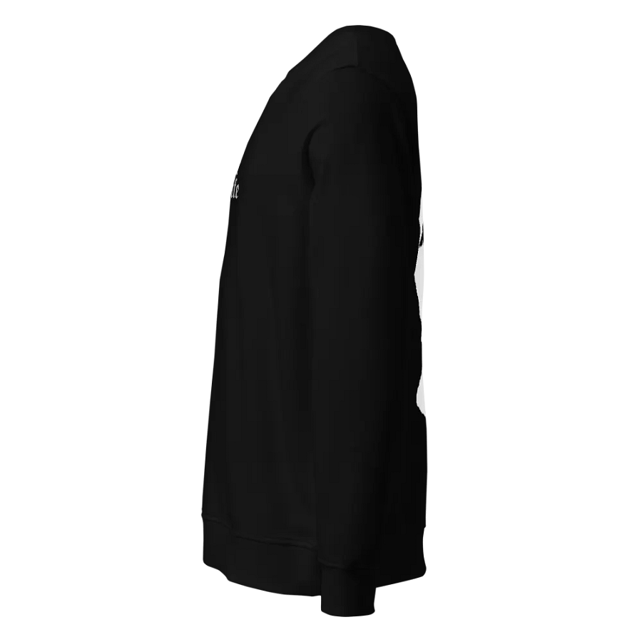 CULT LIFE SWEATER product image (5)