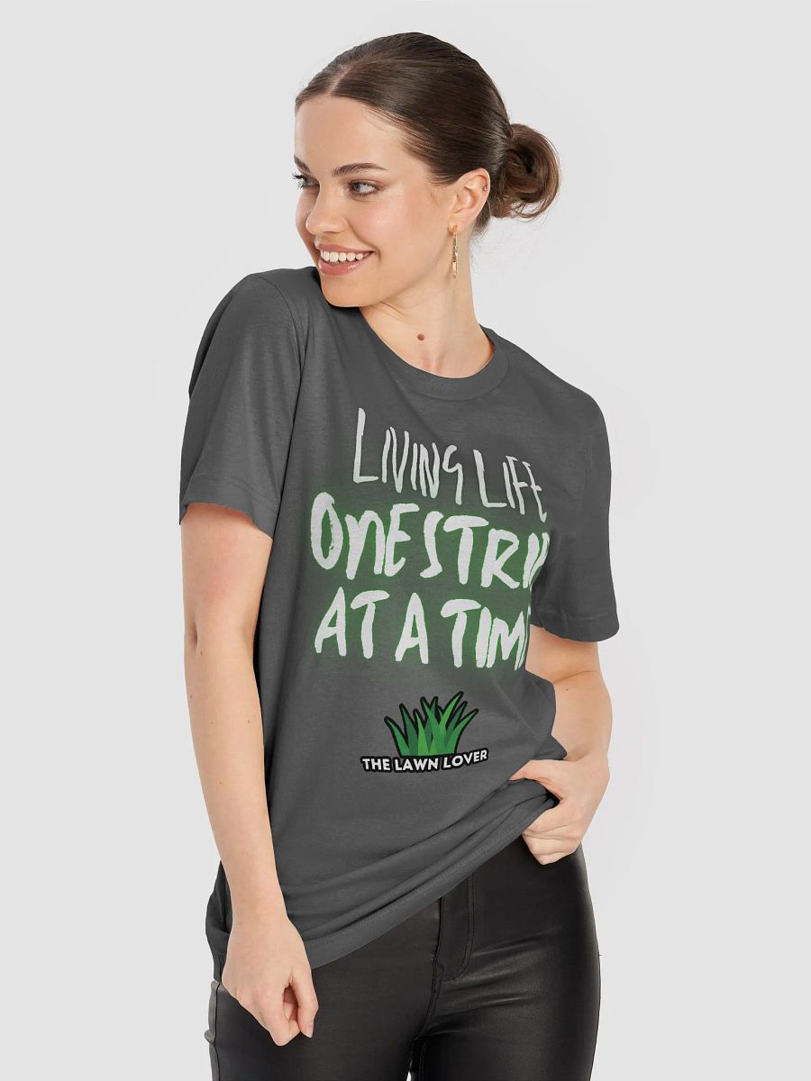 Living Life One Stripe at a Time T-Shirt product image (6)