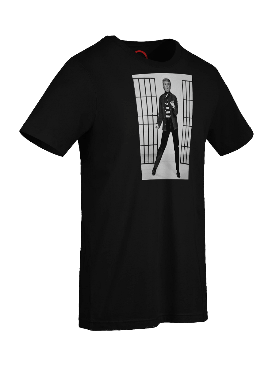 Trump House Rock product image (42)
