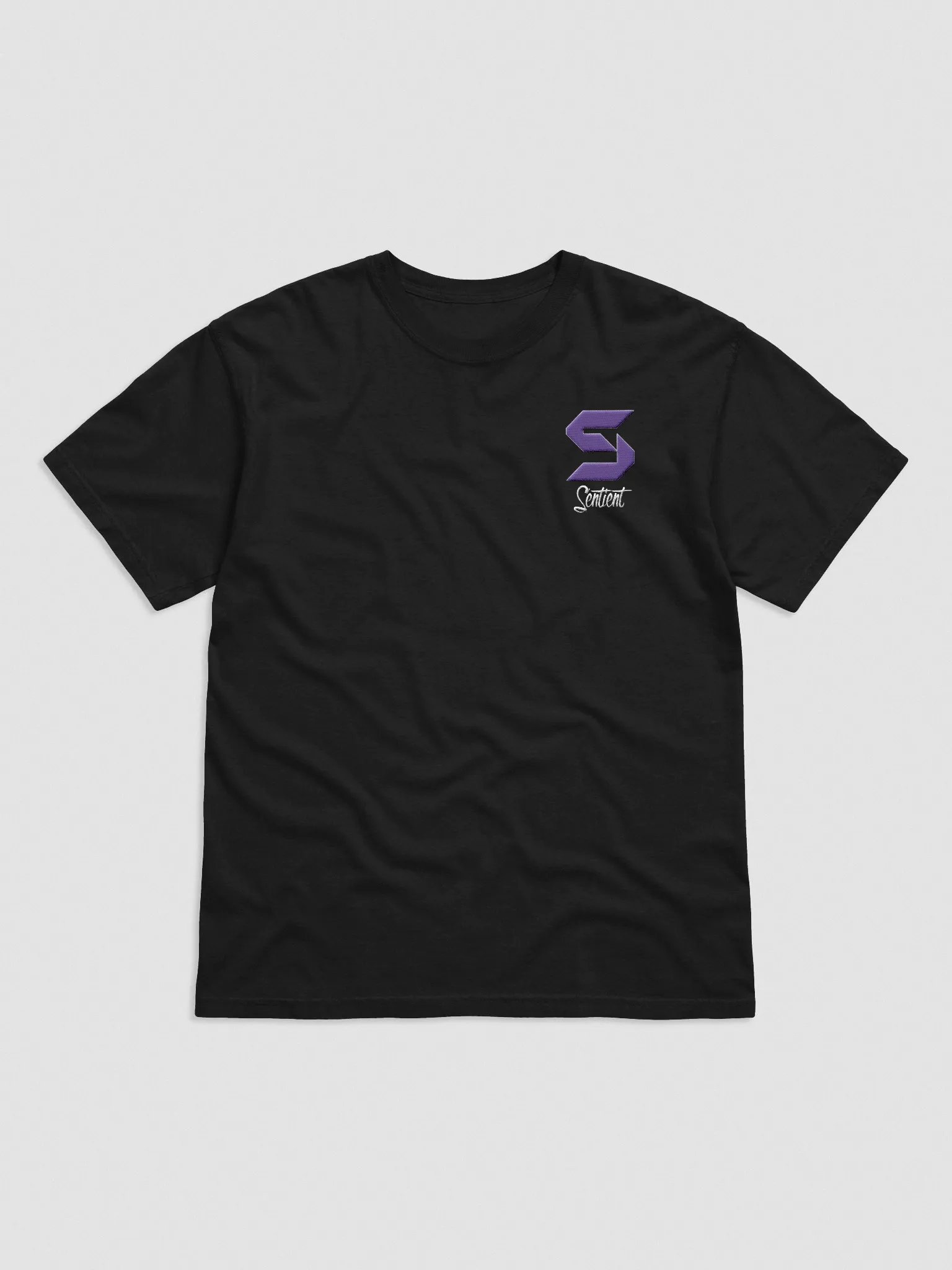 Sentient Embroidered Tee product image (1)
