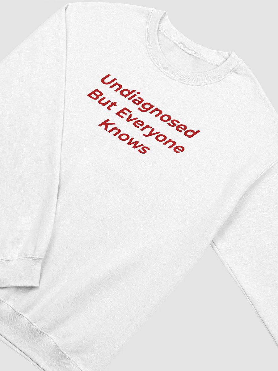Undiagnosed But Everyone Knows Sweatshirt product image (2)