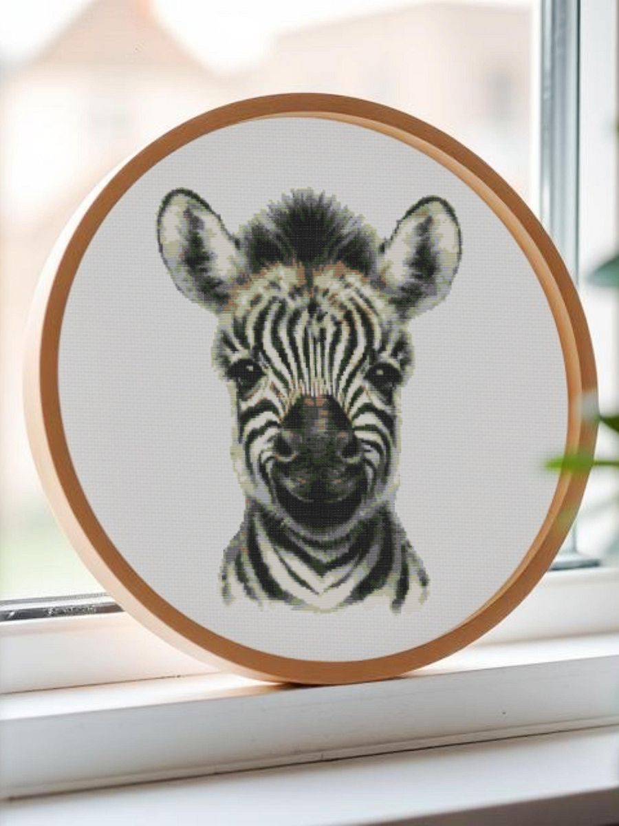 Baby Zebra product image (3)